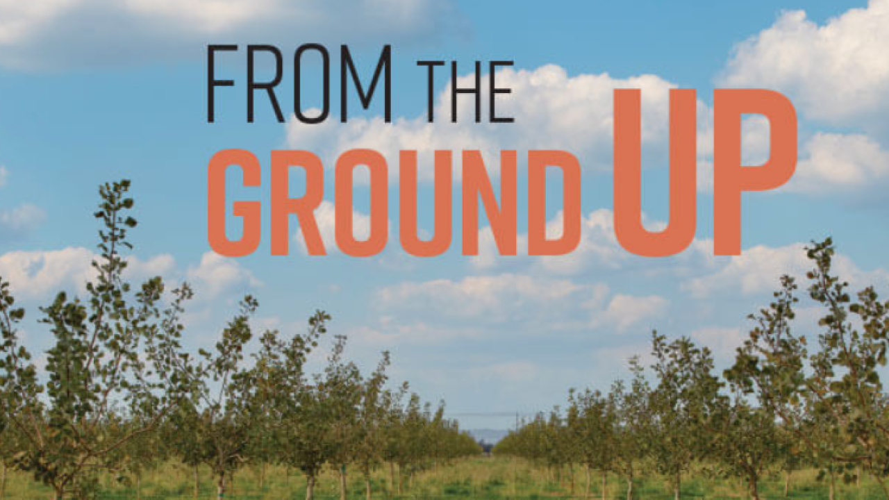 from_the_ground_up