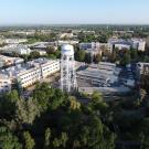 UC Davis