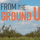 from_the_ground_up